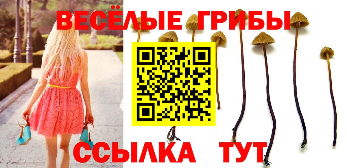 Галлюциногенные грибы MAGIC MUSHROOMS Сарапул